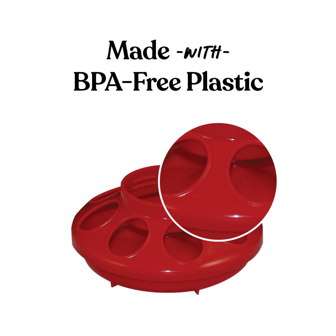 Harris Farms Chick Drinker and Feeder Bundle Kit – Contains 1 Screw on Chick Feeder Base and 1 Screw on Chick Drinker Base – 2 QT Plastic Jars – Made from BPA Plastic – Easy to Clean