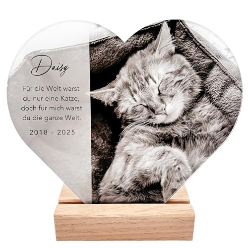 Gedenktafel Katze Andenken an verstorbene Katze Bild aus Acrylglas personalisiert zur Erinnerung & Trauer Glasherz mit Foto Geschenk für Katzenbesitzer inkl. Holzfuß 20x22 cm (Herz)