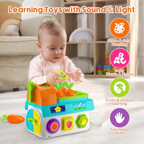 Image of Musical SortingToys for 1 Year Old Boy, 1st First Birthday Boy Girl Gifts Presents, Montessori Educational Learning Toddler Toy, Fine Motor Skills Toy