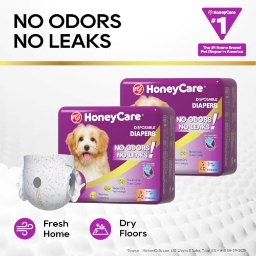 Image of HONEY CARE All-Absorb Disposable Female Dog Diapers Small Size, Improved, Super Absorbent, Breathable, Wetness Indicator,Small, 40 Count (Pack of 6)