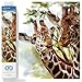 Produktbild DIAMOND DOTZ DD8.017 - Original 5D Diamond Painting Set Giraffen Groß & Zart, Kreativset mit 9.549 Diamant Mosaiksteinen, Malset ca. 40 x 40 cm, DIY Komplettset für Erwachsene und Kinder ab 8 Jahren