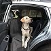 FrontPet Backseat Pet Bridge Hammock, Dog Car Seat Protector, Covers Entire Back Seat and Door Panels. Fits Cars, Trucks and SUVs, Car Seat Extender Platform Cover Barrier Divider and Restraint