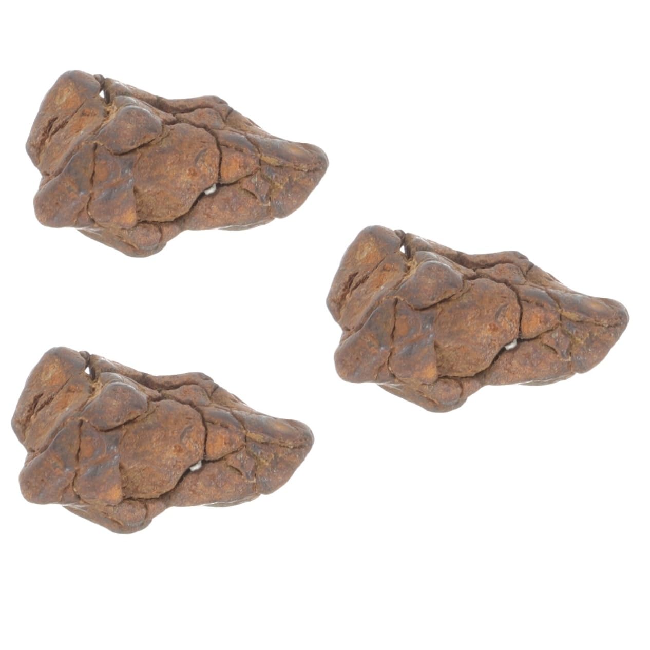 TOPPERFUN 3pcs Meteorite Sample Decor Meteorite Space Rock Educational Toys Teaching Meteorite Classroom Teaching Specimen Meteorite Science Sample Meteorite Specimen for Decor