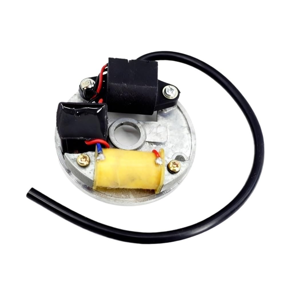 CDI électrique de rechange pour entretenir votre souffleur de jardin