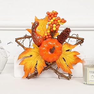 Plancholo Herbstkranz halles822 Kürbis 20,3 cm