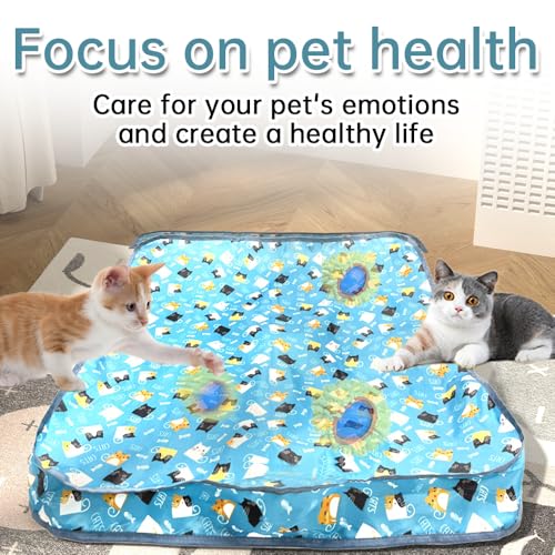 Jouets interactifs pour chats d'intérieur pour lutter contre l'ennui