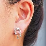 🐸 🐸 🐸Naturschutz :Unsere fantastischen Zwei-Wege-Froschohrringe sind perfekt für Naturliebhaber überall. Zwei-Wege-Froschohrringe, NEUER Froschliebhaber-Schmuck, Vintage Distressed-Ohrringe