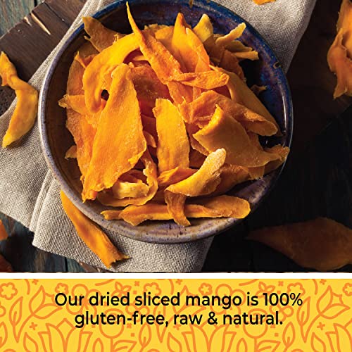 Dried Mango No Sugar Added, 16 oz. Dried Mangoes, Unsweetened Dried Mango Slices, Mango Dried No