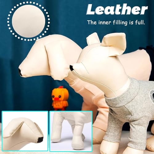 Torso de maniquí para mascotas ideal para escaparates y fotografía de moda 5