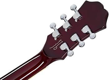 Amazon.co.jp: Epiphone/Noel Gallagher Riviera Dark Wine Red ノエル