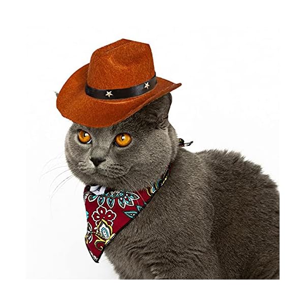 Awocan pet dog cowboy hat cosplay cap puppy pet dog cat holiday costume pet party decoration - image 3