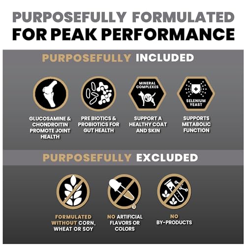 Image of VICTOR Bully Fuel Dry Dog Food - High-Calorie Formula for Muscle, 5 lb | Real Beef First Ingredient, Lean Muscle Support, Glucosamine & Chondroitin for Joint Health, Omega 3 & 6 for Skin & Coat