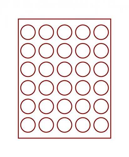 Bandeja de monedas LINDNER RAUCHGLAS un estuche elegante para colecciones selectas 3