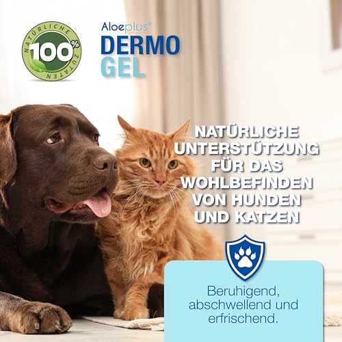 ALOEPLUS Hunde Dermo Gel 200ml - Beruhigend und Entstauend für empfindliche Haut, mit Aloe Arborescens BIO gegen Juckrei