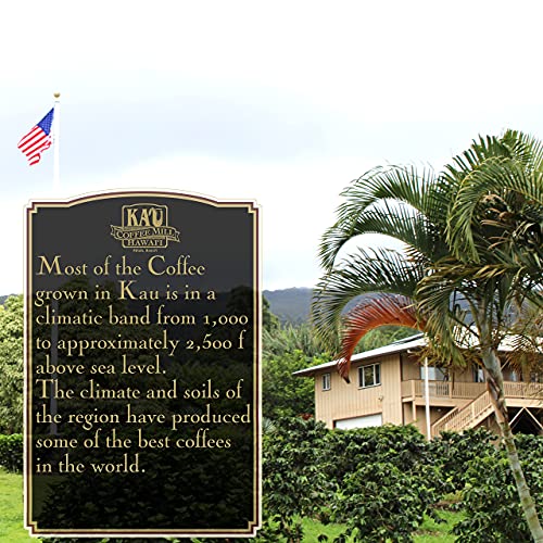 Peaberry Medium Roast Whole Bean Ka'u Coffee, 100% Hawaiian Award Winning Coffee By Ka`u Coffee Mill #TOP5