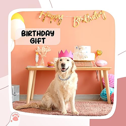 Image of LEIFIDE Dog Chain Collar Diamond Link Puppy Collar 12 mm Wide Dog Necklace Metal Cat Chain Pet Crystal Necklace Jewelry Accessories for Small Medium Large Pet(10 Inch,Silver, Pink White)