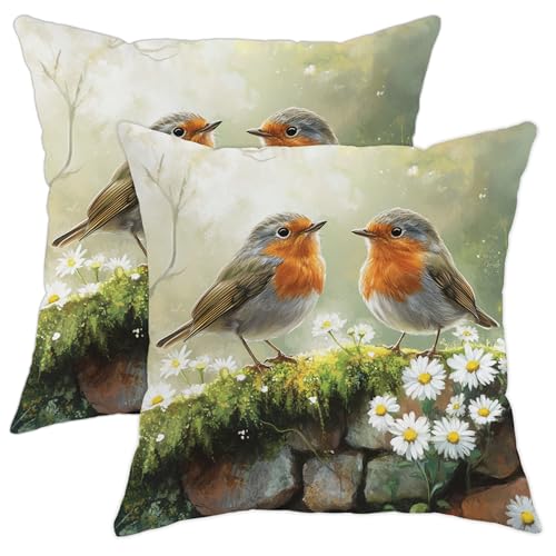 Bird Pillow Covers Set of 2, Gray and Orange Robin Throw Pillows Case, Spring Decorative Square Farmhouse Decor Cushion Covers for Home Sofa Bed Couch 18x18 Inch
