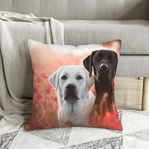 Housse de coussin labrador blanc velours côtelé carré canapé - 8