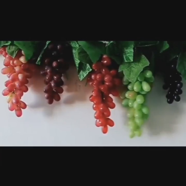 Notre Top 10 Des Grappe Raisin Plastique Au France - Black