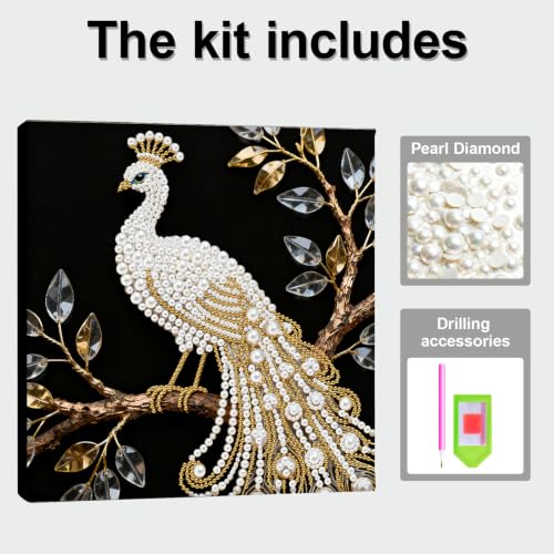 Kit de pintura de perlas DIY de pavo real para relajación y mindfulness 2