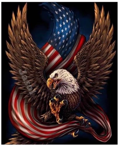 Image of Jasol Diamond Painting Kit, 40x30 Cms, Full Drill, 5D Crystals, Home Wall Decor Gift Set (USA Flag with Eagle M45622)