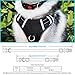 TIANYAO Dog Harness No Pull Reflective Oxford Material Soft Pet Vest Adjustable for Large Dogs Easy Control Harness with Dog Collar (XL)