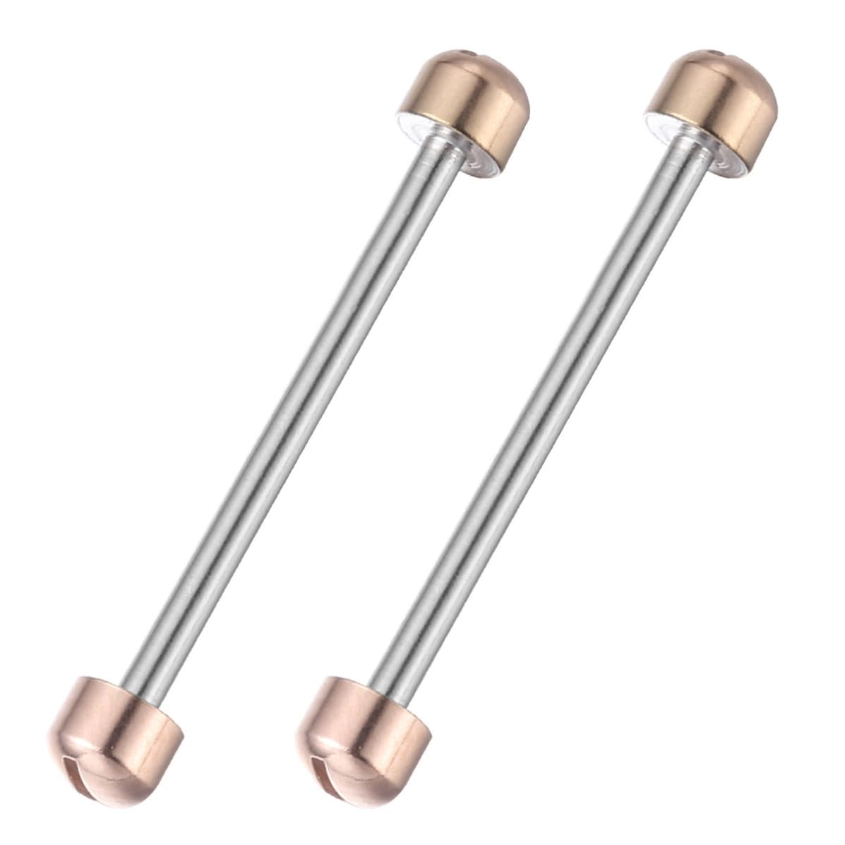 Toddmomy 2 Varillas de Conexión para Correa de Reloj de Metal Tornillo para Reparación Profesional de Relojes, Kit de Herramientas para Relojeros, Diámetro Interior 20mm