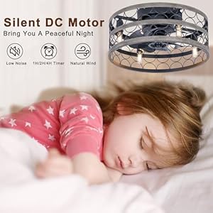 Caged Ceiling Fan with Lights and Remote 18 Flush Mount Farmhouse Ceiling Fans DC Motor Low Profile Ceiling Fan for Kitchen Bedroom Black Grey