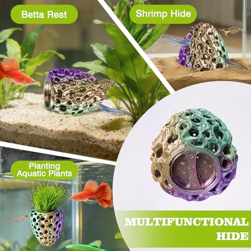 Image of Shrimp Dome Hide, Shrimp Hides for Aquarium, Betta Fish Hideout with Suction Cup, Betta Habitat Tank Ornament Accessories, Aquarium Decor for Small Fish Guppy Hiding Resting (Lid Green Purple)