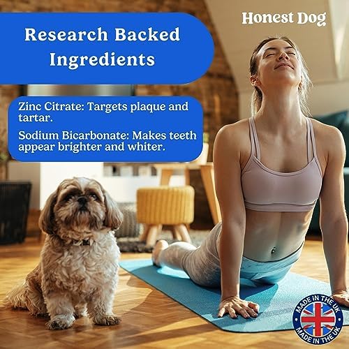 Teeth Cleaning Spray for Dogs - Dog Breath Freshener - Vet Formulated Dog Breath Spray - Pet Plaque Remover - Bad Breath Treatment for Dogs - Dog Teeth Cleaning Products by Honest Dog Co