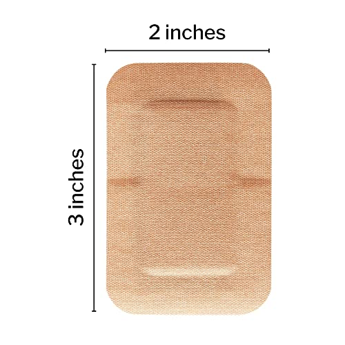 https://m.media-amazon.com/images/I/51fXRi2aAaL.jpg