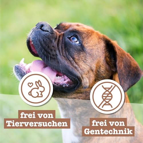 Chewies Hundeleckerli MAXI Mix 2 Lamm, Wild & Lachs Knöchelchen Training - 3 x 200 g - Fleisch Softies ohne Zucker - Hundesnacks mit hohem Fleischanteil (600 g)