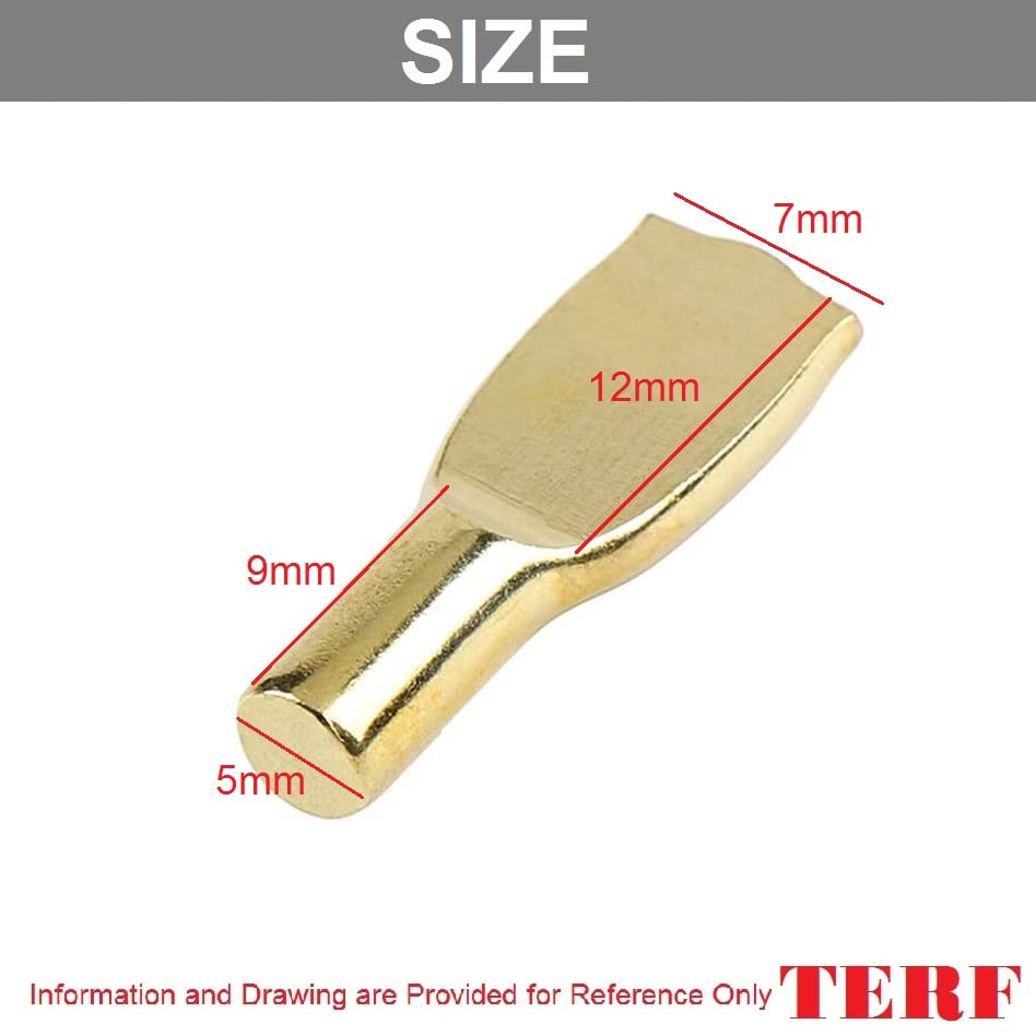 TERF® Electro Brass Plated Metal Push in Furniture Shelf Support Stud Pegs Pins for Kitchen Cabinet Wardrobe Bookcase Closet Glass Shelve and Furniture Shelf Support Use - Image 3