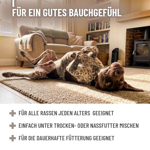 ReaVET Heilmoor für Hunde 1,3kg - Verbessert die Kotbeschaffenheit, Optimale Verdauung, Immunsystem, Magen-Darm-Aktivität, Appetit Anregung I Natürliche Heilerde Moor Hund