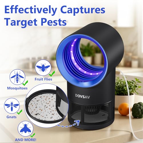 Image of Fruit Fly Trap for Indoors, Blue Bug Zapper Indoor with Suction & Timer | Uv Light Lures Fruit Flies /Gnats, Timer 6 /12hrs, Plug in Fly Trap with Suction, Kid & Pet Applicable, Low Noise, 10 refills