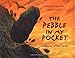 The Pebble in my Pocket: A History of Our Earth