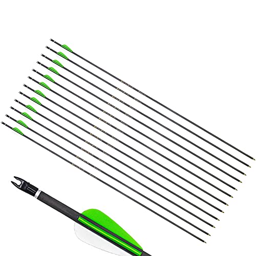  ZZYB 10pcs tir à l'arc 32 Pouces Pur Flèche de...