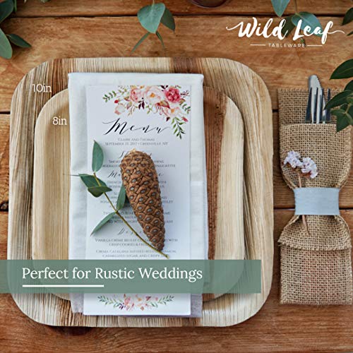 All Natural Palm Leaf Paper Plates, 8 Inch / 25 Pack. Biodegradable, Heavy Duty Party Plates - Comparable To Bamboo Wood Fiber - Elegant And Eco Friendly Tableware By Wild Leaf #TOP6