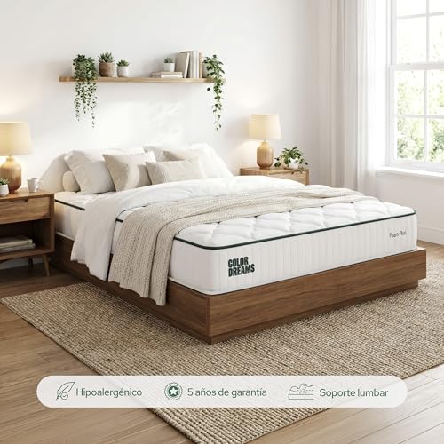 Catálogo para Comprar On-line King Zai que puedes comprar esta semana. 24 King Zai marca COLORDREAMS (3)