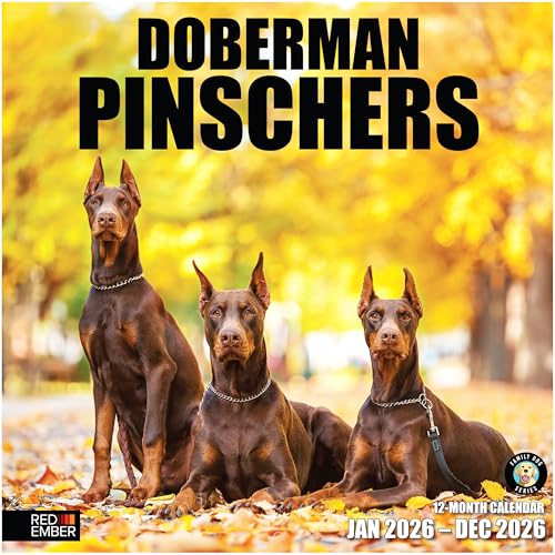 Image of RED EMBER Doberman Pinschers 2026 Wall Calendar 12 Month | 12 inch x 24 inch Open | Thick & Sturdy Paper | Giftable | Cute Puppy Dog Calendar 2026