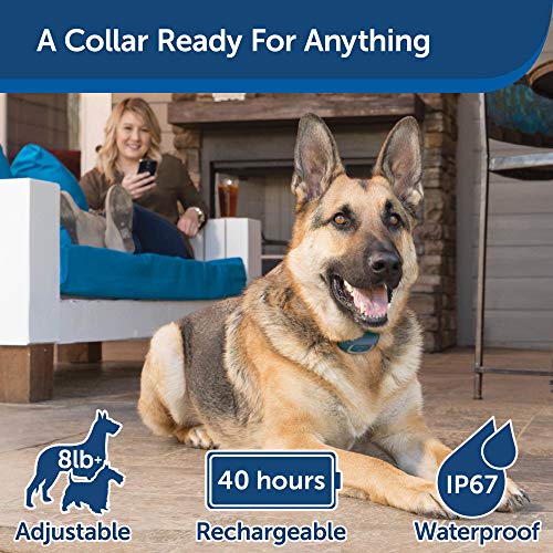PetSafe SMART DOG Training Collar – Uses Smartphone as Handheld Remote Control – Tone, Vibration, 1-15 Levels of Static… - Image 4