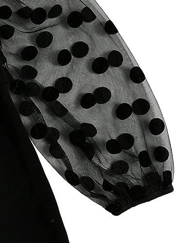 SOLY HUX Toddler Girl's Doll Collar Sheer Mesh Bishop Long Sleeve Short Dress4