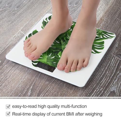 Báscula digital de baño con pantalla LCD y precisión 400 lb miniatura 5