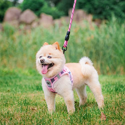 Beautyzoo Small Dog Harness And Leash Set,Step In No Chock No Pull Soft Mesh Dog Harnesses Reflective For Extra-Small/Small Medium Puppy Dogs And Cats, Plaid Dog Vest Harness For Xs S Pets, Pink S #TOP7