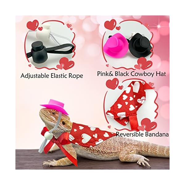 Vehomy 4pcs valentine's day bearded dragon outfit bearded dragon cowboy hat & lizard bandana small pet love heart scarf cowboy costume accessories for lizard hamster leopard gecko - image 4