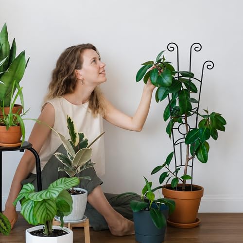 Image of 32.6in Plant Trellis for Climbing Plants Indoor, Expandable Large Metal Trellis for Potted Plants, Heavy-Duty Tall Pothos Plant Climber Support for Ivy Pothos Hoya Monstera, 4P