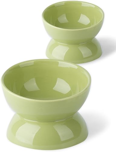 ABRUTY Cuenco de comida para gatos, plato elevado de cerámica para gatos de 16 onzas, cuenco de agua elevado y inclinado en 15, antivómitos, protege