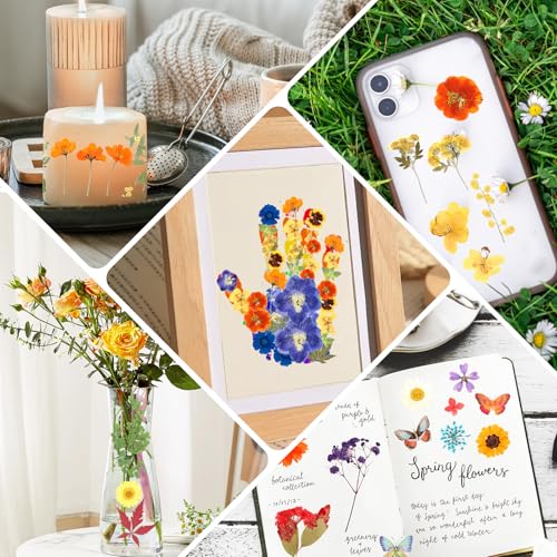 Image of 269 PCS Dried Pressed Flowers for Resin Crafts, Bulk Real Nature Pressed Flowers Set Dried Wildflowers Leaves with Butterfly Stickers Tweezers for Jewelry Making DIY Scrapbook Floral Frame Decors