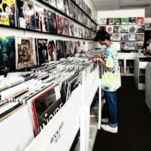 『she stole toilet pipes from burger king...』のカバーアート