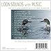 Loon Sounds with Music: Loon Calls with Soothing Music for Deep Relaxation (Nature Sounds, Deep Sleep, Meditative Sounds of Loons)